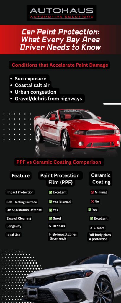 Car Paint Protection