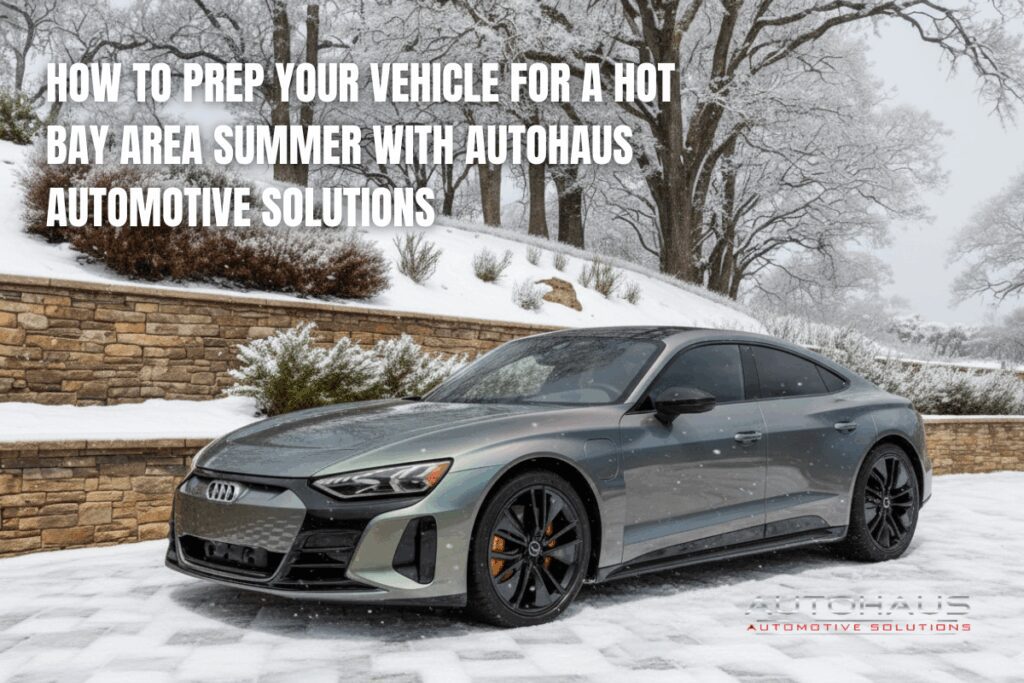 Winterizing Your Vehicle with Tint, Leather, and Protection