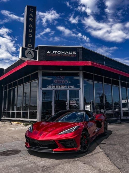 Tesla Car Window Tint